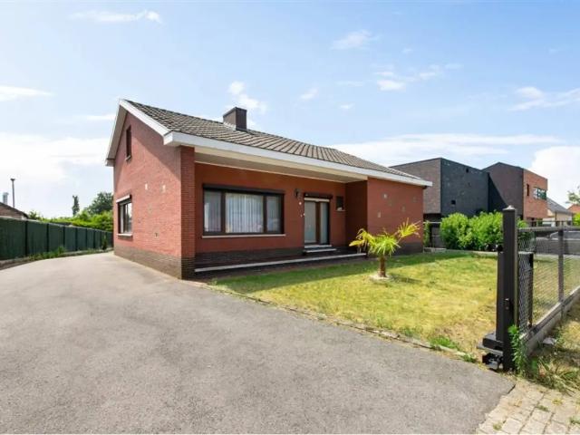 Maison vente à Zonhoven, Limburg