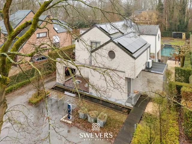Maison vente à Zonhoven, Limburg