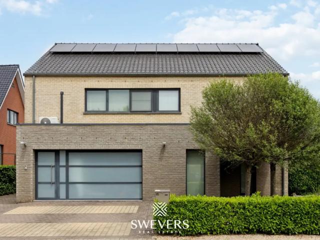 Maison vente à Zonhoven, Limburg