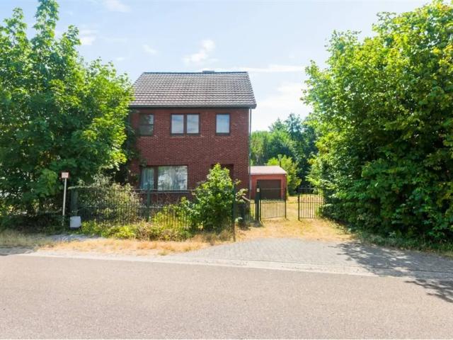 Maison vente à Zonhoven, Limburg