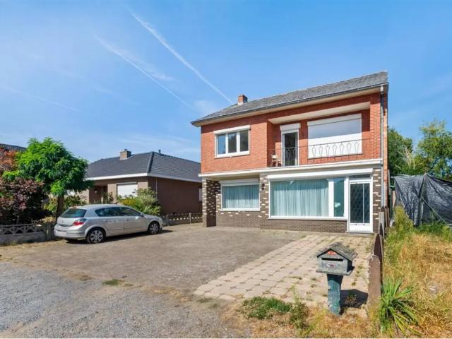 Maison vente à Zonhoven, Limburg