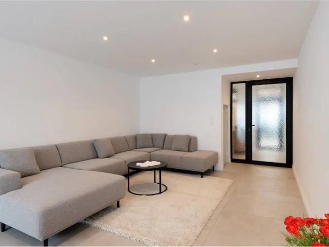 Maison vente à Zottegem, Oost-Vlaanderen