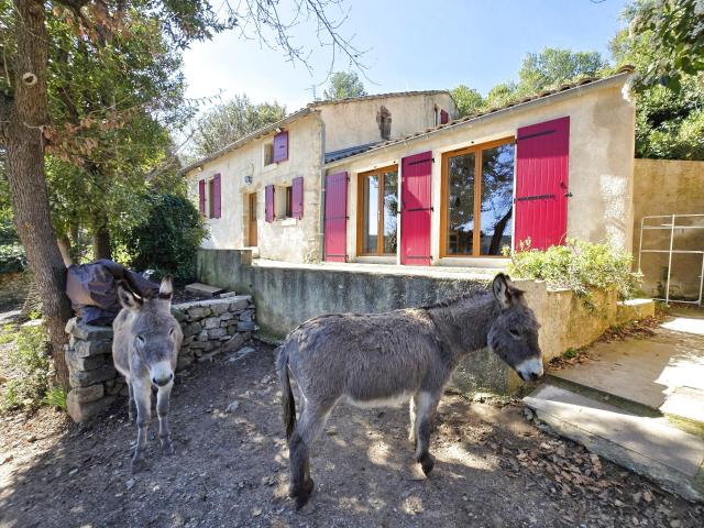 Ferme vente à Clermont-l'Hérault, Hérault