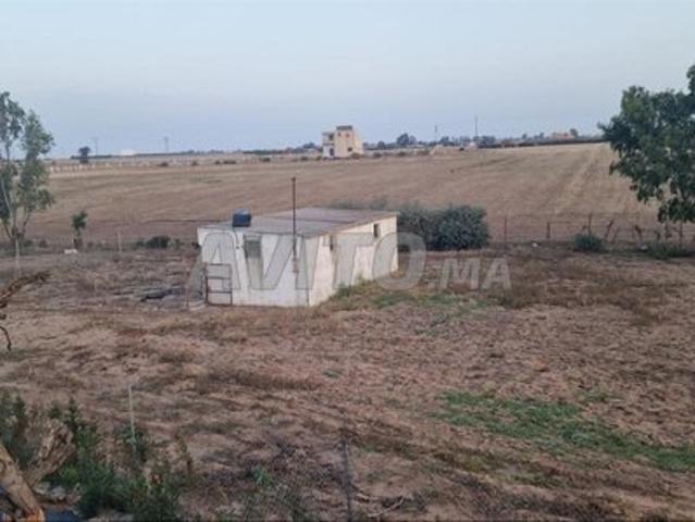 Propriété vente à El Ma, Gharb-Chrarda-Beni Hssen