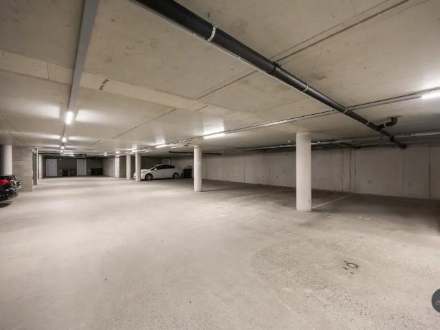 Garage vente à Begijnendijk, Brabant