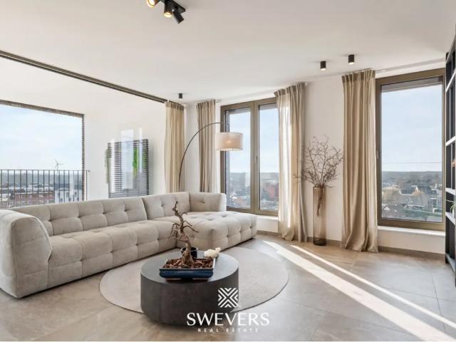 Penthouse vente à Beringen, Limburg