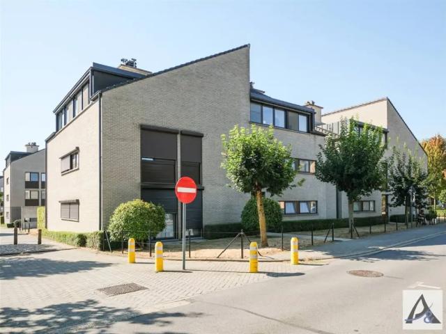 Penthouse vente à Beringen
