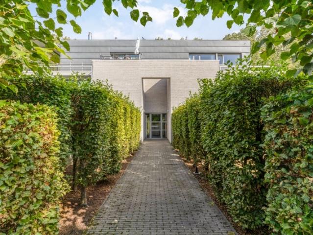 Penthouse vente à Bornem, Antwerpen