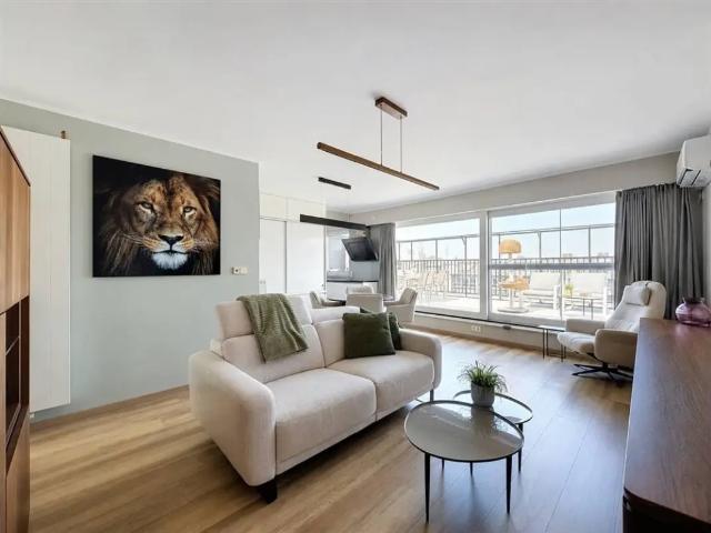 Penthouse vente à Antwerpen