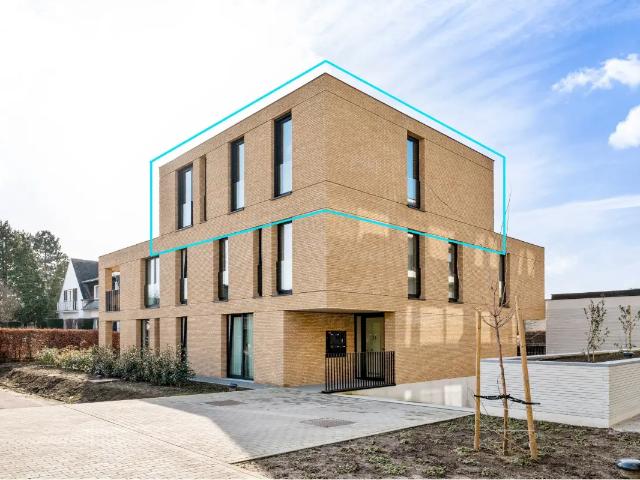 Penthouse vente à Haacht, Brabant