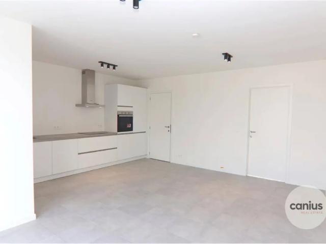 Penthouse vente à Hasselt, Limburg