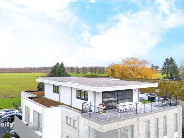 Penthouse vente à Juprelle, Wallonie