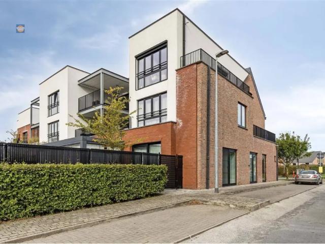 Penthouse vente à Oppuers, Antwerpen