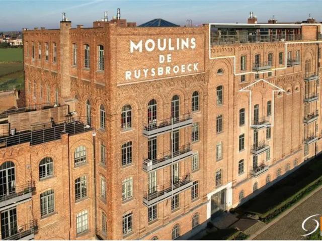 Penthouse vente à Sint-pieters-leeuw, Brabant