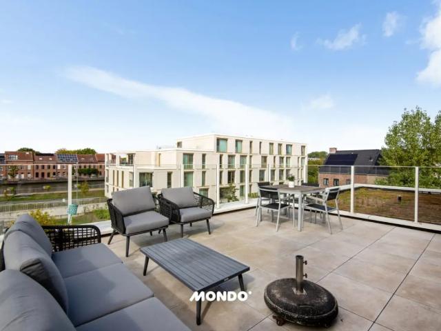 Penthouse vente à Willebroek