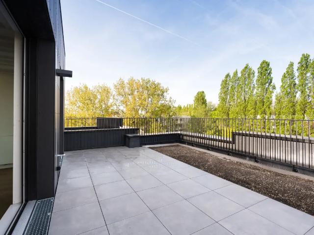 Penthouse vente à Sint-lambrechts-woluwe, Bruxelles