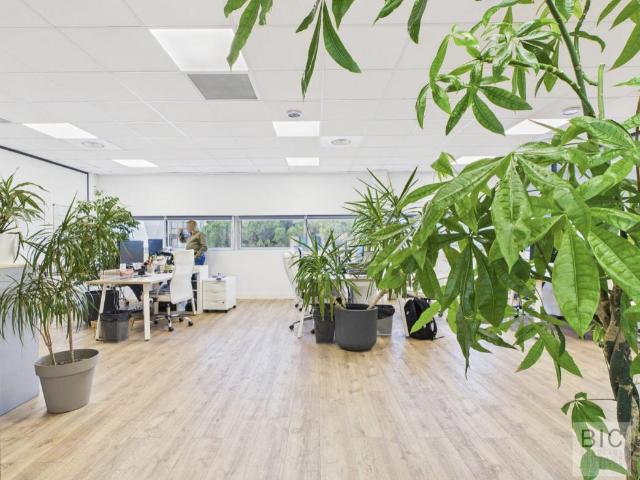 Bureau vente à Bordeaux