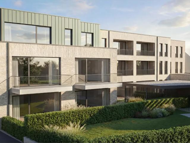 Maison vente à Berlare, Oost-Vlaanderen