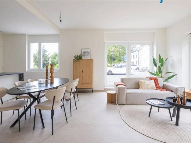 Maison vente à Grammont, Oost-Vlaanderen