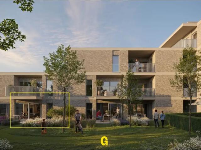 Maison vente à Hoeselt, Limburg