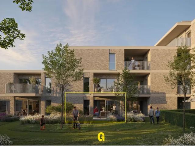 Maison vente à Hoeselt, Limburg