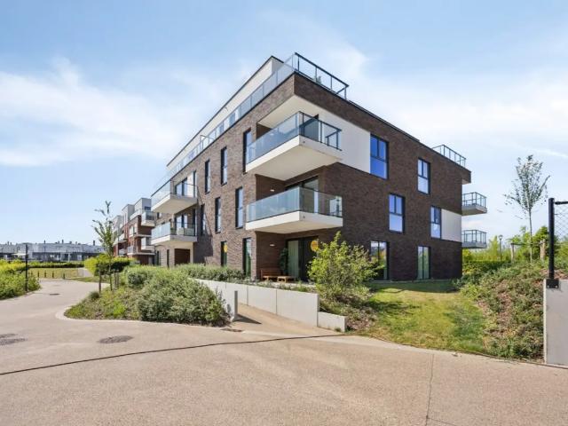 Maison vente à Renaix, Oost-Vlaanderen