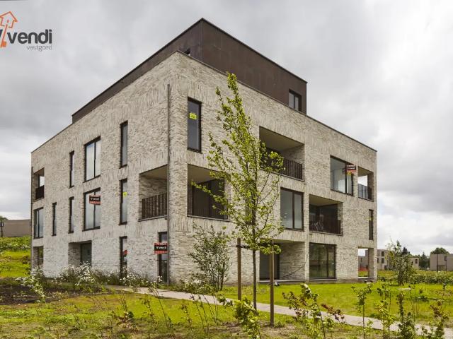 Maison vente à Ravels, Antwerpen