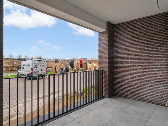 Kot vente à Aalst, Oost-Vlaanderen