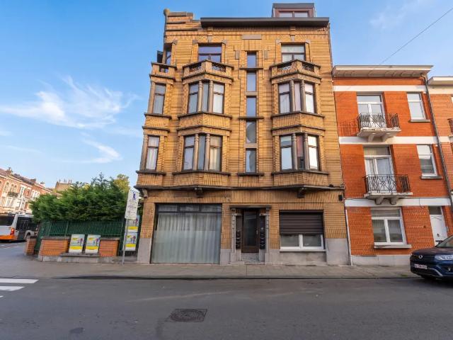 Kot vente à Anderlecht, Bruxelles