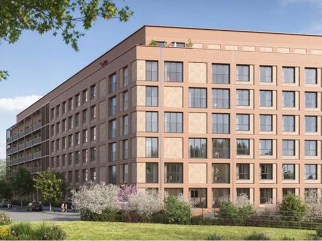 Kot vente à Anderlecht, Bruxelles