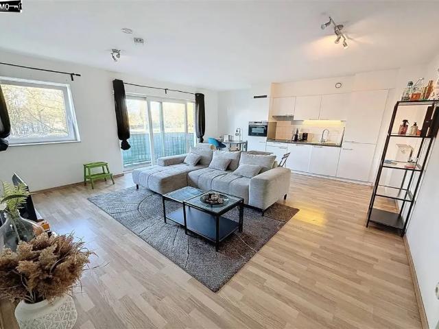 Kot vente à Anderlecht, Bruxelles