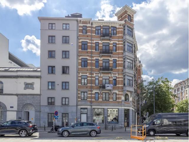 Kot vente à Anderlecht, Bruxelles