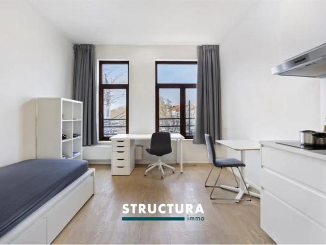 Kot vente à Anderlecht, Bruxelles