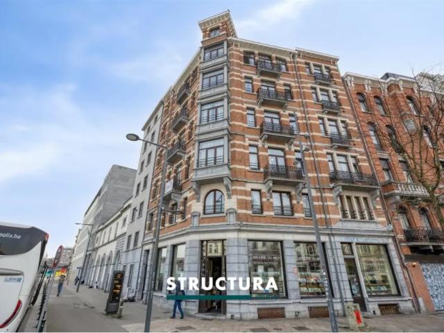 Kot vente à Anderlecht, Bruxelles