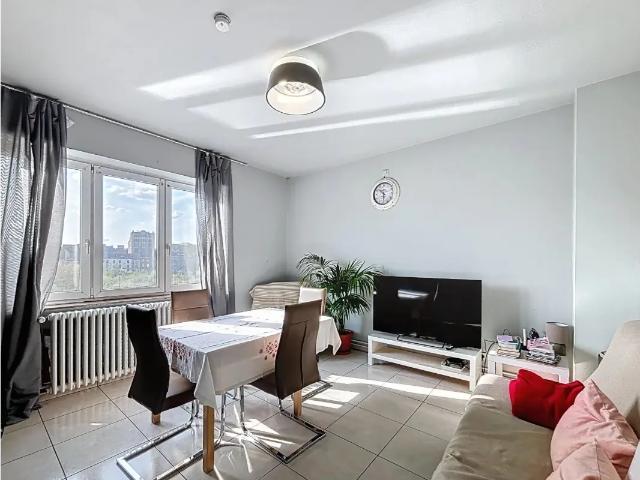 Kot vente à Anderlecht, Bruxelles