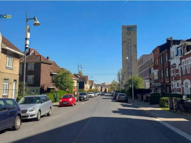 Kot vente à Anderlecht, Bruxelles