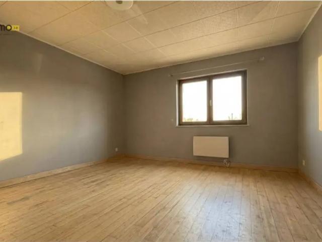 Kot vente à Anderlecht, Bruxelles