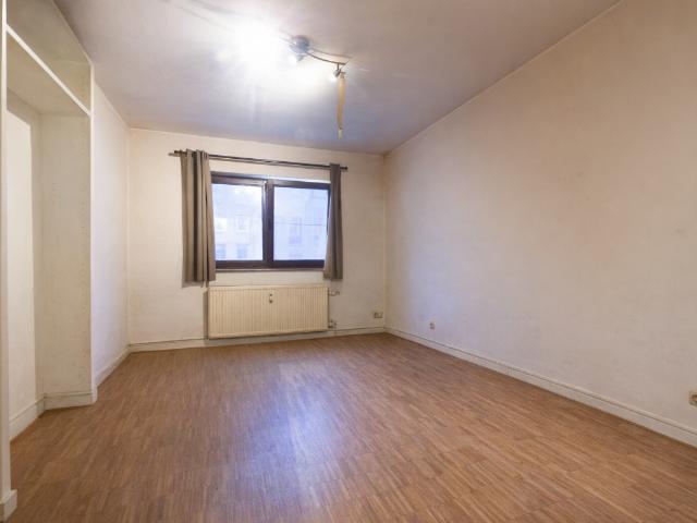 Kot vente à Anderlecht, Bruxelles