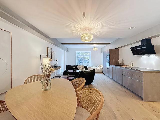 Kot vente à Anderlecht, Bruxelles