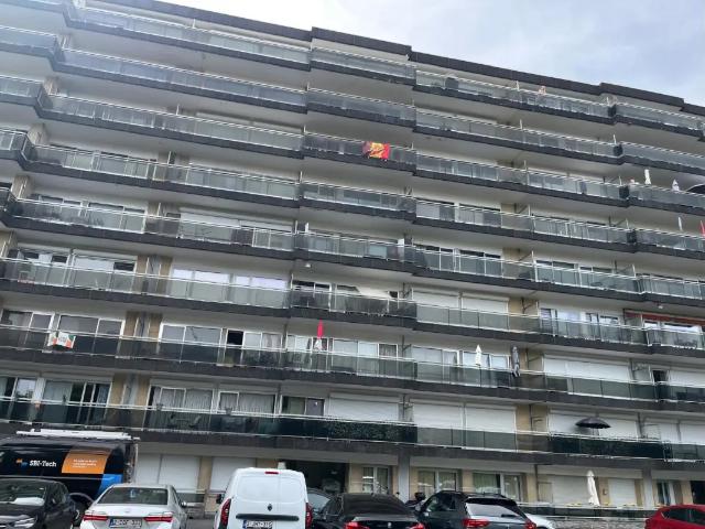 Kot vente à Anderlecht, Bruxelles