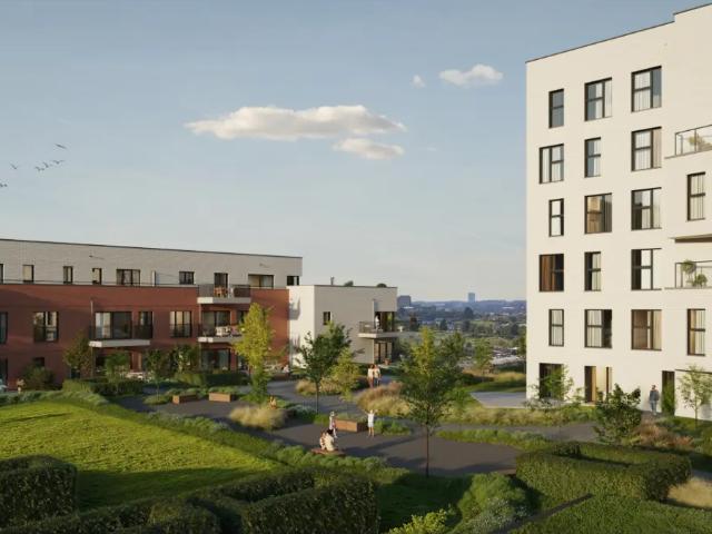 Kot vente à Anderlecht, Bruxelles