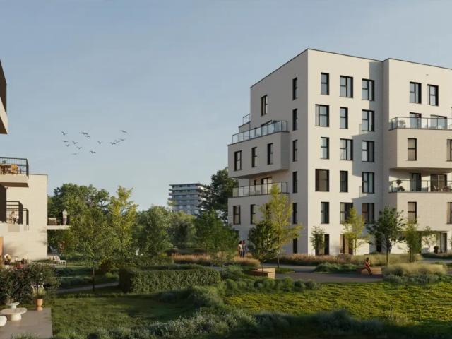 Kot vente à Anderlecht, Bruxelles