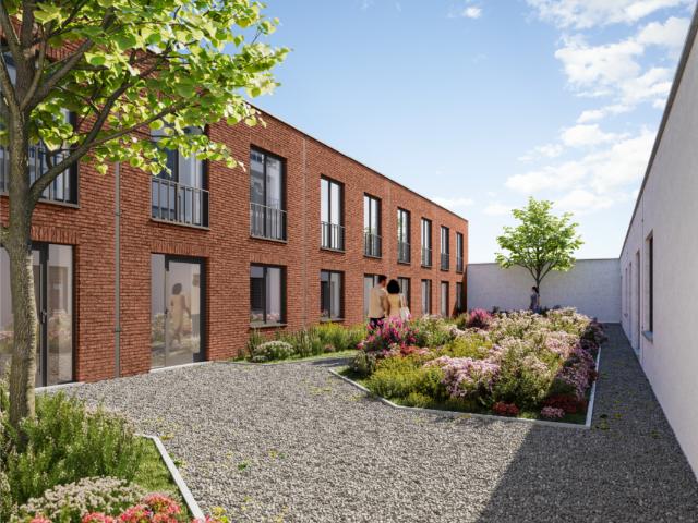 Kot vente à Anderlecht, Bruxelles