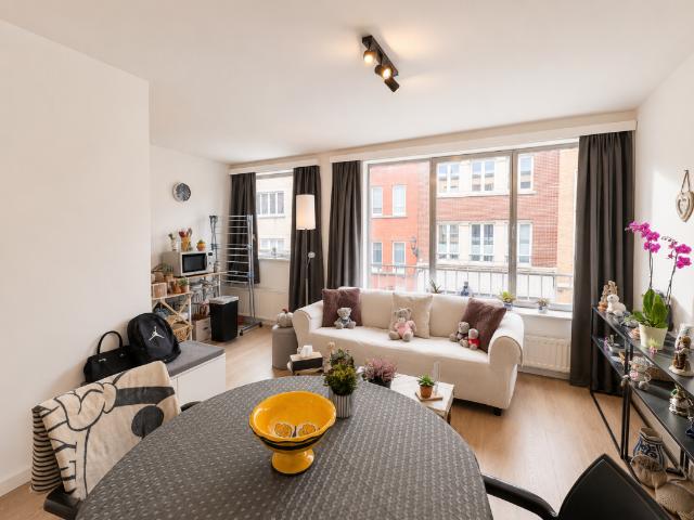 Kot vente à Anderlecht, Bruxelles