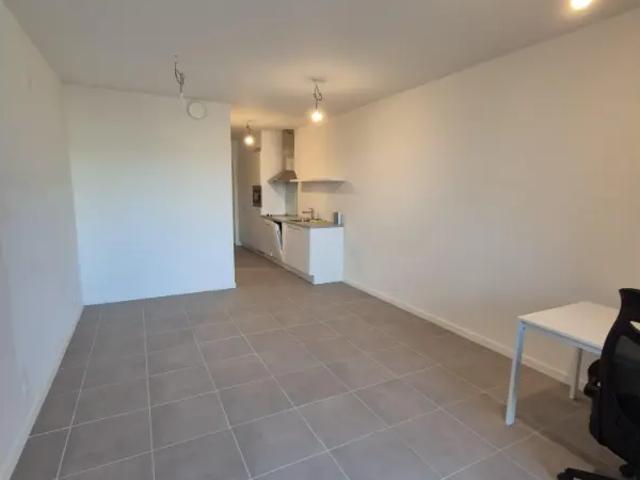 Kot vente à Antwerpen