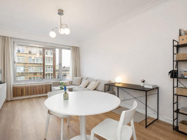 Kot vente à Antwerpen