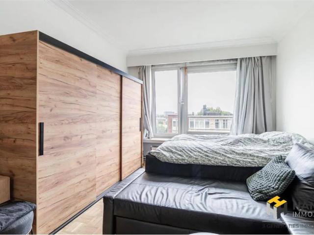 Kot vente à Antwerpen