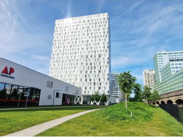 Kot vente à Antwerpen