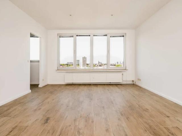 Kot vente à Antwerpen