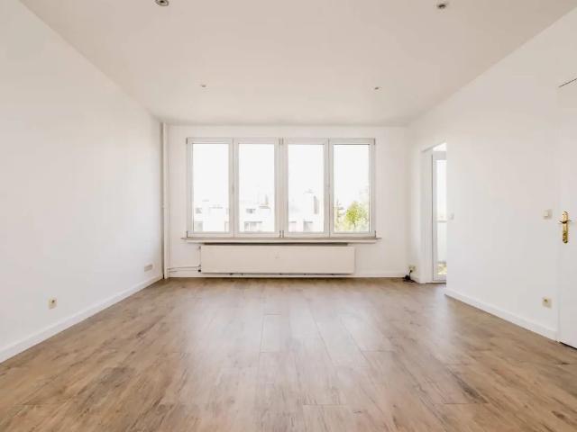 Kot vente à Antwerpen
